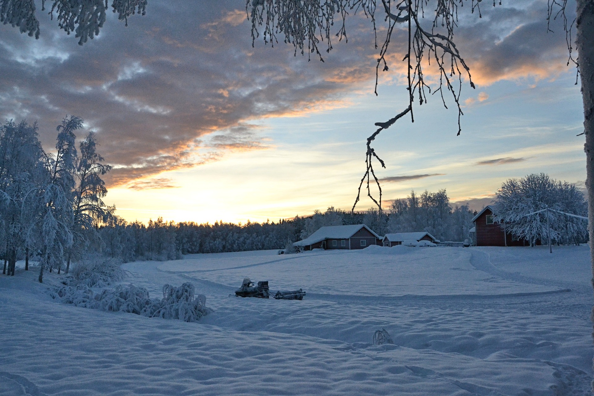 God jul och gott nytt år!