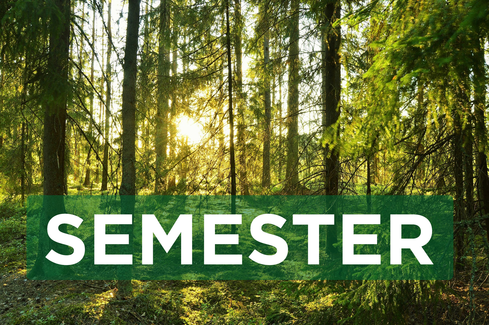 Semesterstängt vecka 29-31
